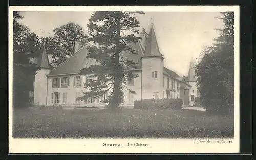 AK Seurre, Le Château