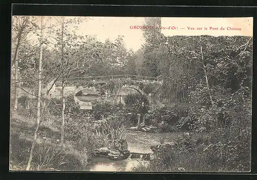 AK Grosbois, Vue sur le Pont du Chateau