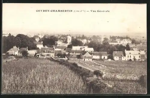 AK Gevrey-Chambertin, Vue Generale