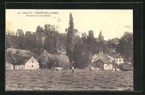 AK Chatillon-sur-Seine, Panorama de Saint-Vorles