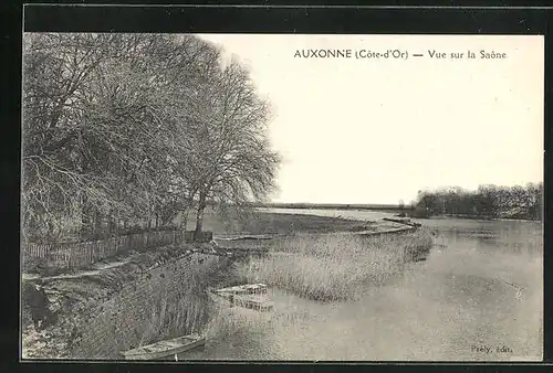 AK Auxonne, Vue sur la Saone