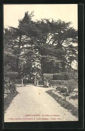 AK Saint-Andeux, le Cédre du Chateau