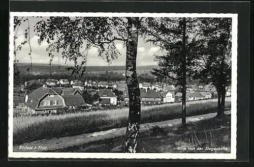 AK Eisfeld /Thür., Panorama von der Siegeshöhe aus