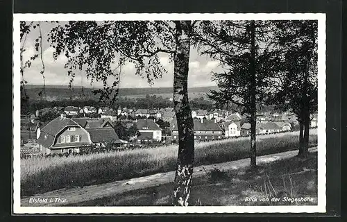 AK Eisfeld i. Thür., Blick von der Siegeshöhe