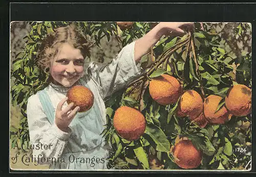 AK A Cluster of California Oranges, Mädchen mit reifen Apfelsinen, Landwirtschaft