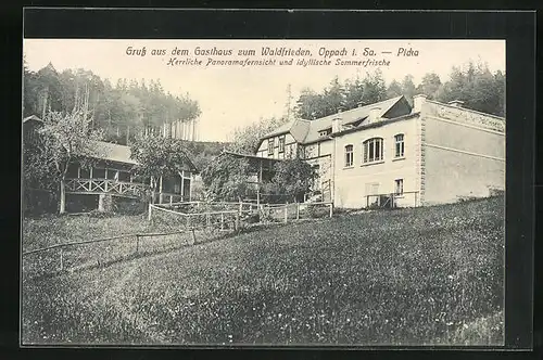 AK Oppach / Sachsen, Gasthaus zum Waldfrieden