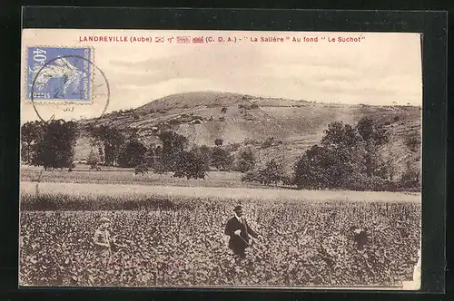 AK Landreville, La Salière au fond Le Suchot