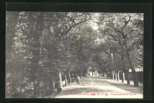 AK Gyè-sur-Seine, Promenade de la Vanne