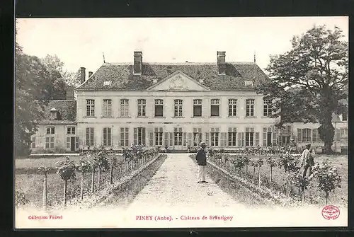 AK Piney, Château de Brantigny