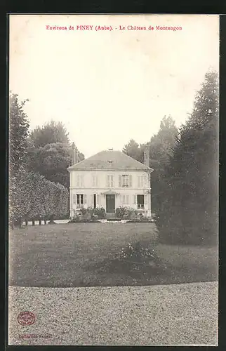 AK Piney, Le Château de Montagnon
