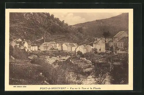 AK Pont-de-Montvert, Vue sur le Tarn et la Placette
