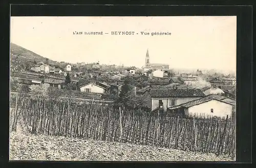 AK Beynost, Vue générale