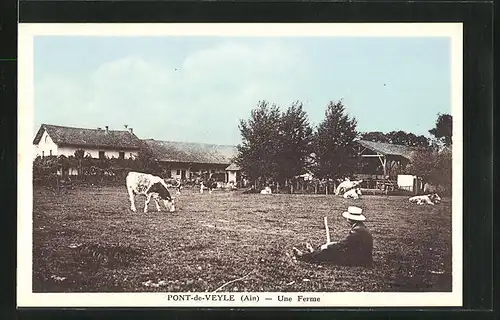 AK Pont-de-Veyle, Une Ferme