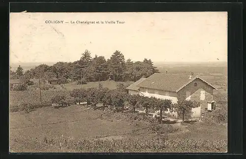 AK Coligny, Le Chataignat et la Vieille Tour