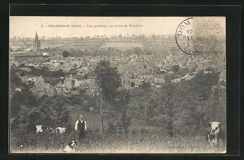 AK Tinchebray, Vue prise de Beaulieu