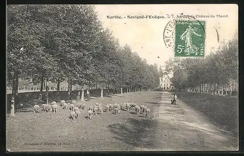 AK Savigne-L`Eveque, Avenue du Chateau du Mesnil