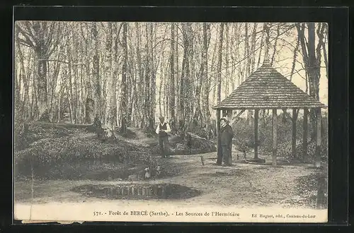 AK Bercé, Forêt de Bercé - Les Sources de l`Hermitière