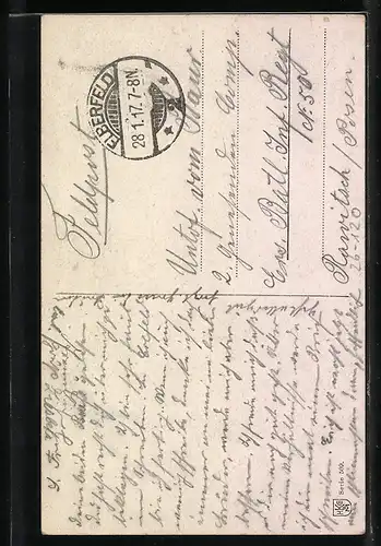 Künstler-AK August Müller - München: Reitpferd mit Zaumzeug und weisser Blesse