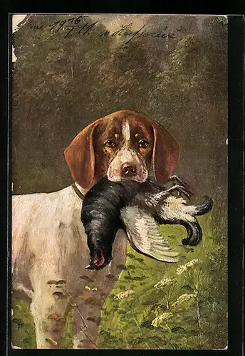 Künstler-AK August Müller - München: Jagdhund mit Birkhahn im Maul
