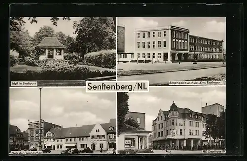 AK Senftenberg, Idyll im Stadtpark, Platz der Freundschaft, Bergingenieurschule Ernst thälmann