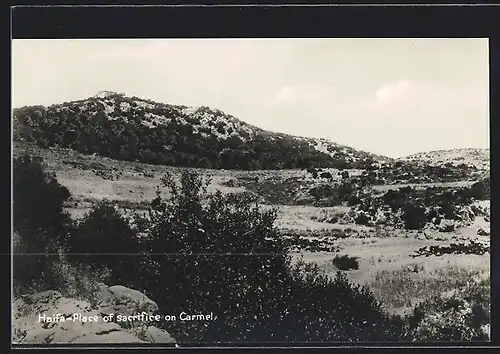 AK Haifa, Place of the sacrifice on Carmel