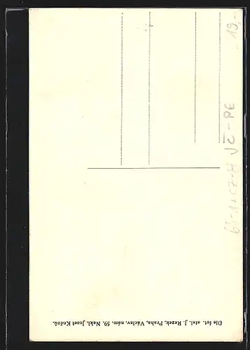 AK Nová Cerekev, Nádrazni hostinec Jos. Knezu, Nádrazi