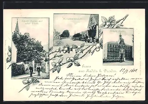 AK Kaditz b. Dresden, Kirche mit alter Linde, Gesamtansicht, Schule