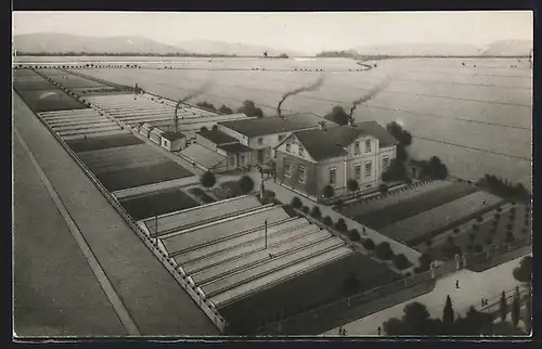 AK Dresden-Kaditz, Gartenbaubetrieb Alfred Weinert, Spitzhausstrasse 21
