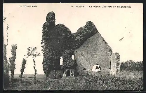 AK Maisy, Le vieux Chateau de Duguesclin