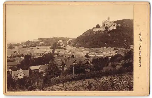 Fotografie Fr. Rose, Weinigerode, Ansicht Wernigerode, Blick über die Stadt mit dem Schloss, 1894