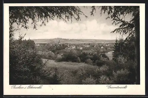 AK Buchen i. Odenwald, Gesamtansicht