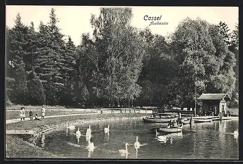 AK Kassel, Auebassin mit Booten