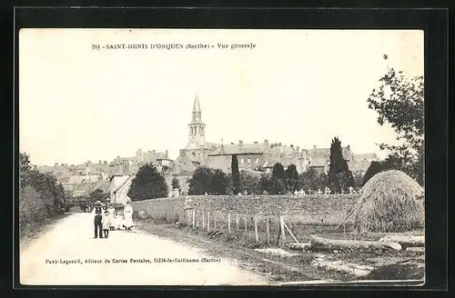 AK Saint-Denis d`Orques, Vue générale