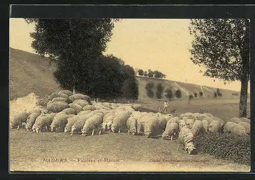 AK Drauks, Falaises et Marais