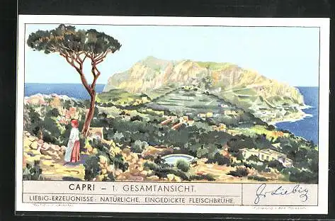 Sammelbild Liebig, Capri, Gessamtansicht
