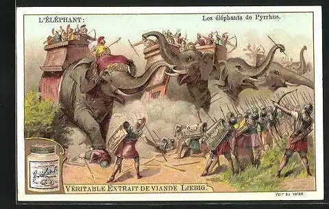 Sammelbild Liebig, Serie: l'Éléphant, les éléphants de Pyrrhus