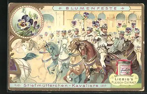 Sammelbild Liebig, Blumenfeste, Stiefmütterchen-Kavaliere