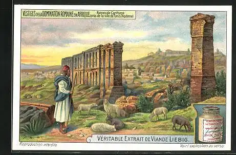 Sammelbild Liebig, Serie: Vestiges de la Domination Romaine en Afrique, Ruines de Carthage prés de la ville de Tunis