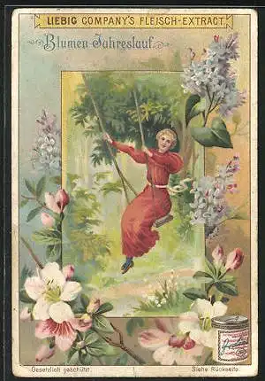 Sammelbild Liebig, Blumen-Jahreslauf, Junge Dame auf Schaukel