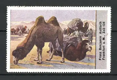 Reklamemarke Kamele machen Rast in der Wüste, Franz Benjamin Auffarth, Zeil 124, Frankfurt / Main