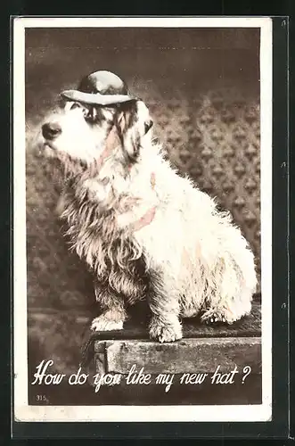 AK Hund mit Hut, vermenschlichte Tiere