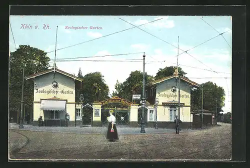 AK Köln, Eingang zum Zoologischen Garten