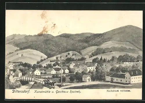 AK Dittersdorf, Kunstmühle und Gasthaus Rosinek