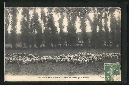 AK Aulnay-sous-Bois, Dans le Paturage d`Aulnay