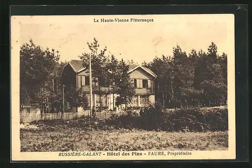 AK Bussière-Galant, Hotel des Pins, Faure, Propriétaire