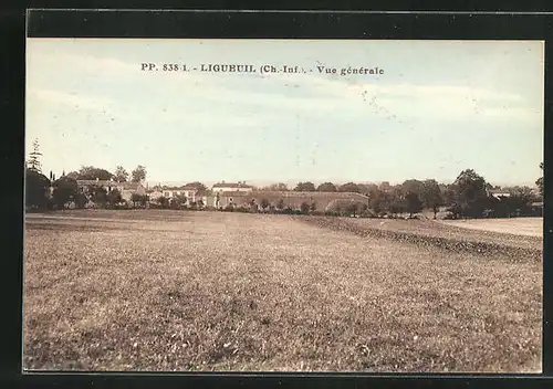 AK Ligueuil, Vue générale