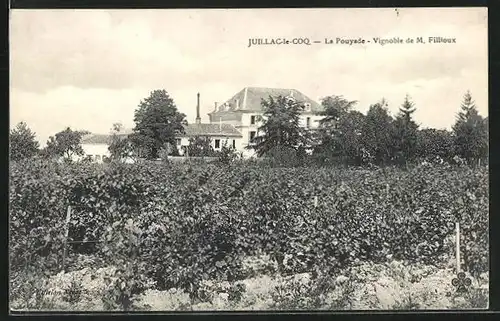 AK Juillac-le-Coq, La Pouyade, Vignoble de M. Fillioux