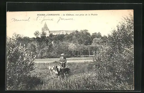 AK Bourg-s-Charente, Le Château, Vue prise de la Prairie