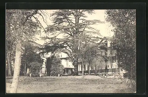 AK Fontenay-aux-Roses, L`Asile Ledru-Rollin, Le Jardin