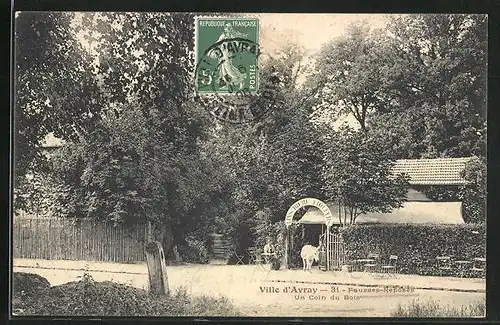 AK Ville d`Aray, Un Coin du Bois